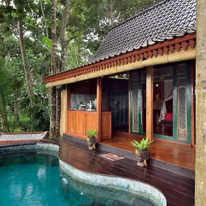 Masakali Retreat Pensión