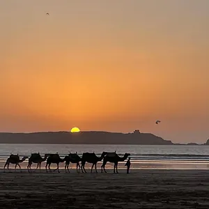 La Symbiose Homestay Essaouira